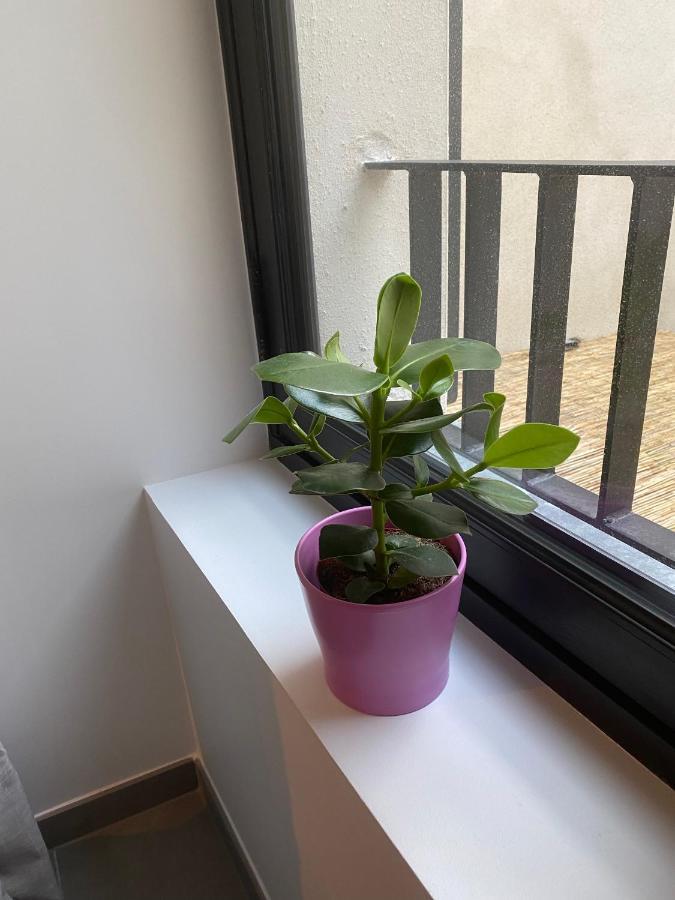 Joli Petit Nid Douillet En Centre Ville La Rochelle  Eksteriør billede